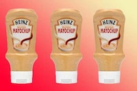 Hybrid Mayonnaise Condiments Image 2