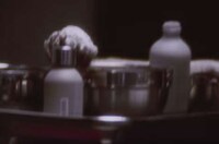 Inclusive Personal Grooming Ads Image 8