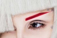 Adventurous Brow Collections Image 3