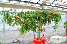 Accelerated Growth Farming Systems