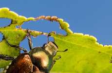 Eco-Friendly Plant Vaccines
