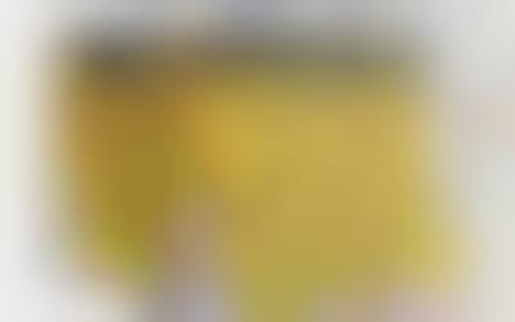 Stand-Up Airplane Seats