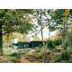 Glazed Bat-Shaped Homes Image 7