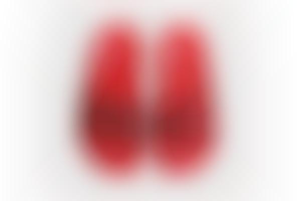 Updated Coral Slides