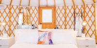 Luxurious Music Festival Tents Image 4
