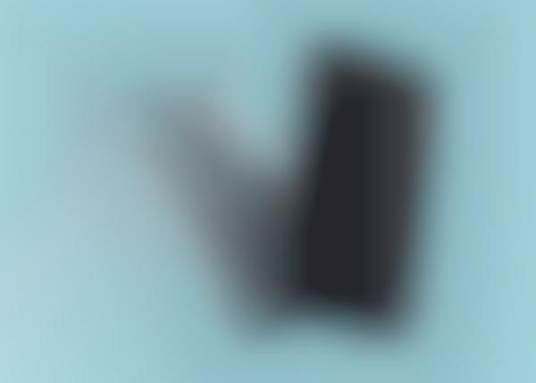 Dual-Sensor Camera Phones