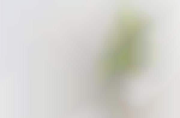 Sensor-Laden Air Purifiers