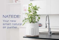 Sensor-Laden Air Purifiers Image 2