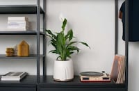 Sensor-Laden Air Purifiers Image 3