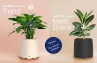 Sensor-Laden Air Purifiers Image 4