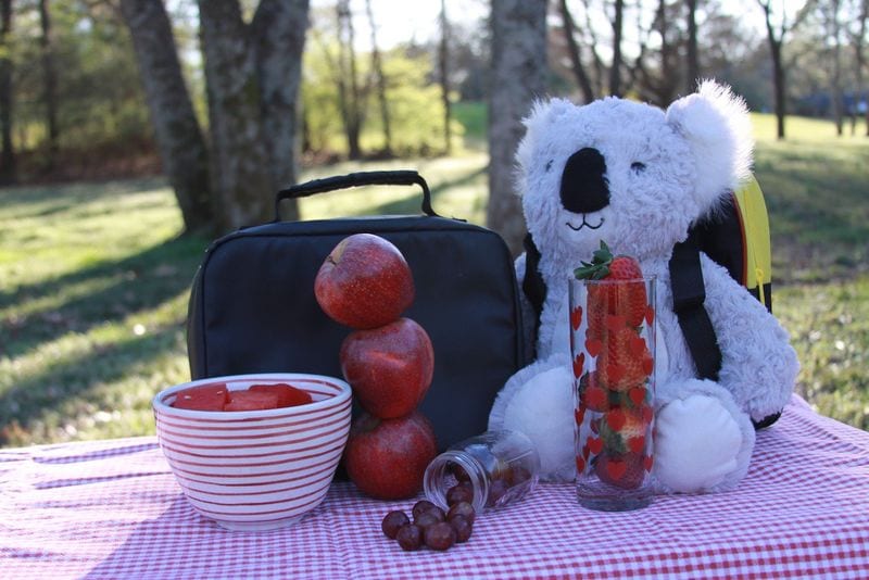 Plush Child Nutrition Kits