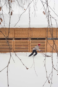 Inspiration-Driven Timber Sheds Image 3