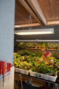 Inspiration-Driven Timber Sheds Image 6