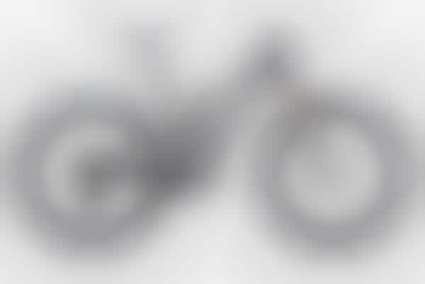 Durable Versatile Mountain Bikes