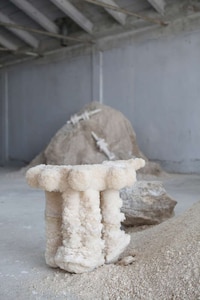 Guilt-Free Vegan Furniture Image 2