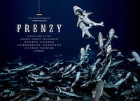 Visually-Focused Magazine Redesigns Image 2