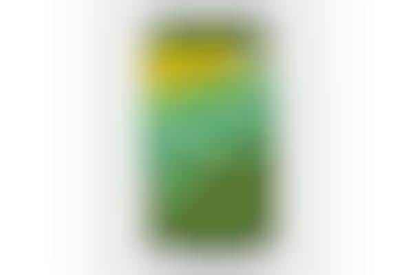 Zesty Cucumber-Infused Beverages
