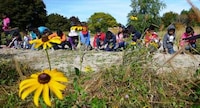 Massive Canadian Linear Parks Image 4
