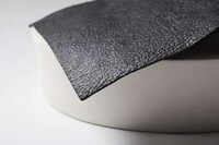 Fungus-Created Leather Image 2