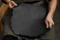 Fungus-Created Leather Image 8