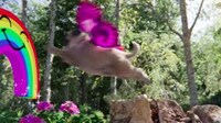 Promotional AR Pets Image 2