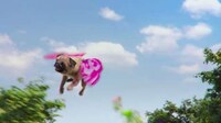 Promotional AR Pets Image 5