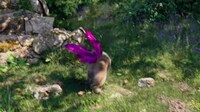 Promotional AR Pets Image 7