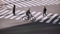 Growling Smart Bikes Image 3