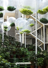 Experience-Enhancing Urban Street Projects Image 8