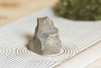 Stress-Reducing Miniature Gardens Image 2