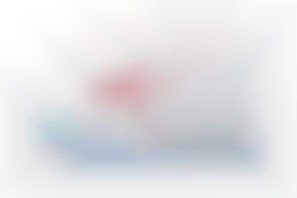 Translucent Designer Sneakers