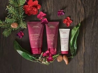 Paid Customer Reward Programs Image 2