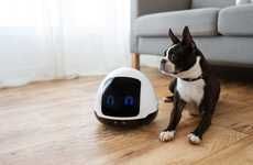 Pet Companionship Robots