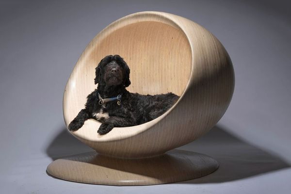 Top 75 Furniture Innovation for May