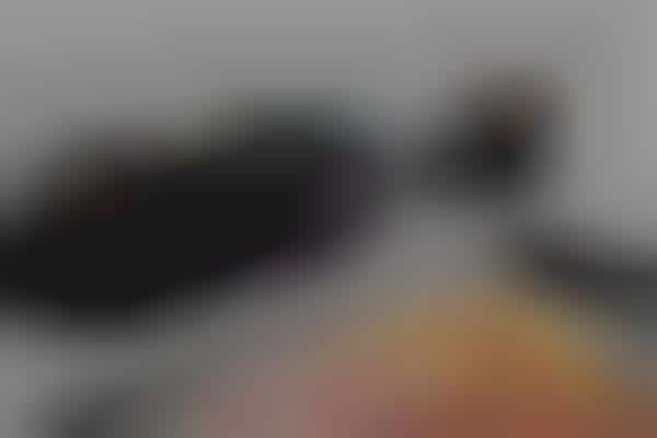 Digital Painting Devices