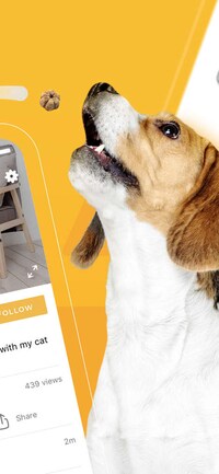 Pet-Streaming Social Networks Image 2