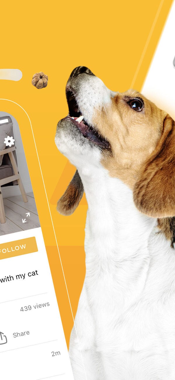 Pet-Streaming Social Networks Image 2
