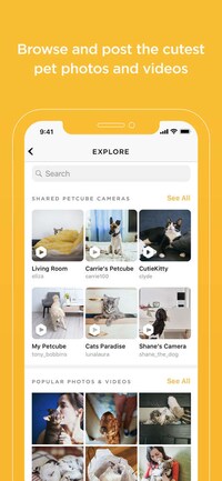Pet-Streaming Social Networks Image 4