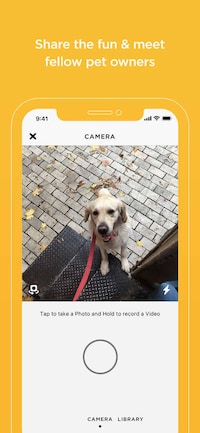 Pet-Streaming Social Networks Image 5
