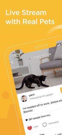 Pet-Streaming Social Networks Image 6