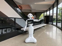 Robotic Museum Guides Image 2