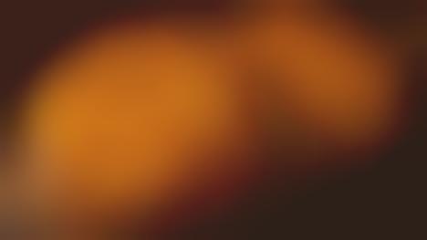 Twice Baked Hash Browns Twice Baked Hash Brown