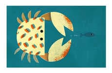 Design-Friendly Illustrated Kids Books