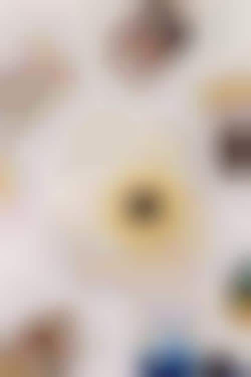 Egg Shell-Inspired Cameras