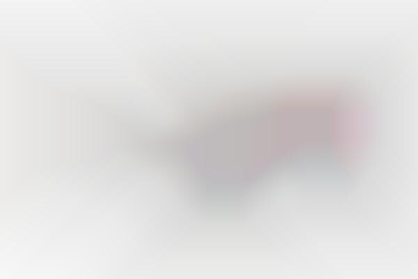 Iridescent Tiger-Motif Sunglasses