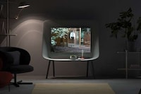 Avian-Inspired TVs Image 8