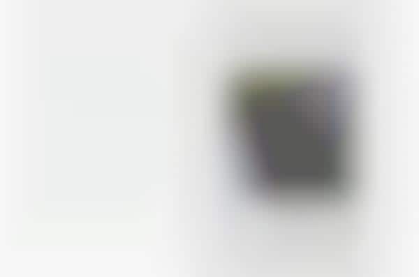 Visual Impairment-Aiding Apps
