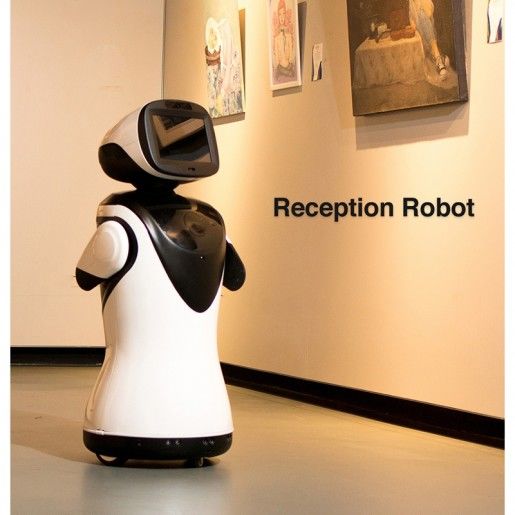 Interactive Retail Robots
