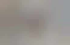 Newly Introduced Izakaya Menus