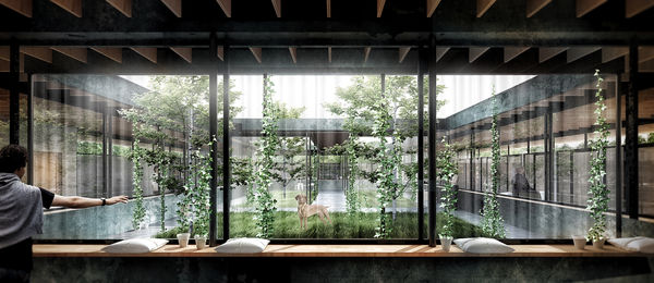 Atmospheric Canine Shelters